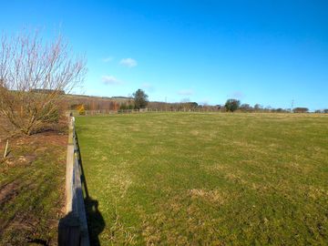 Mid meadow