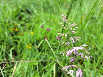 Working with devon wildlife trust to create the best place for wildlife and for you