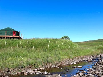 Yurts and stream