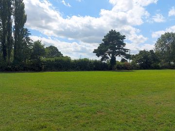Campsite bordered by trees