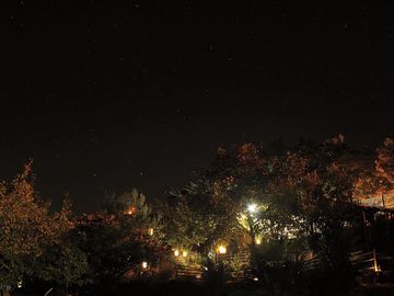 Garden at night time