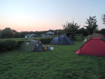 Grass area for tent pitches