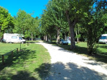 Motorhome pitches among the trees