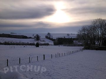 Snowy fields