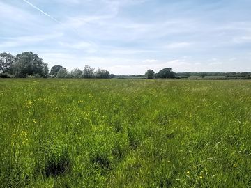 Spacious camping field