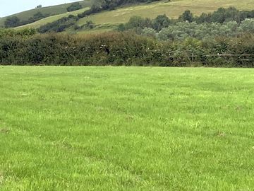 Grassy pitches