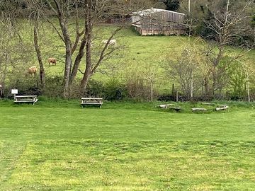 View of meadow from tents