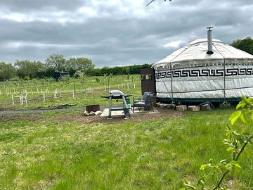 Primrose yurt