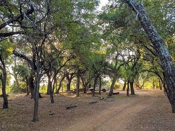Track through the bush