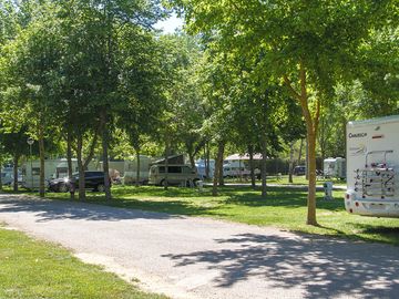 Pitches surrounded by trees