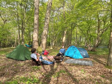 Woodland camping in sussex