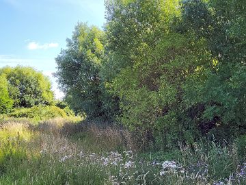 Landschap
