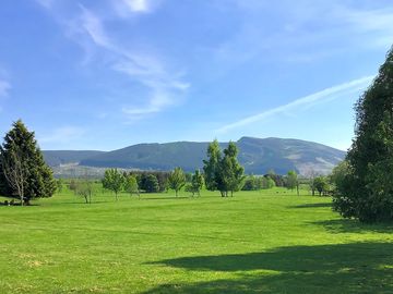 View from the site