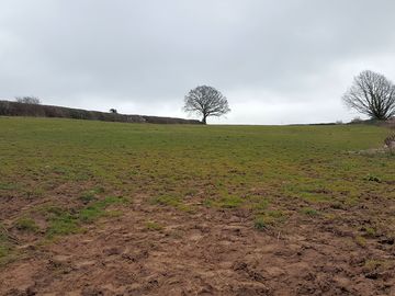 A view of the field