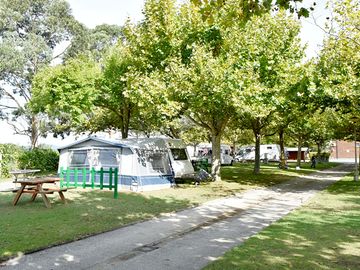 The site