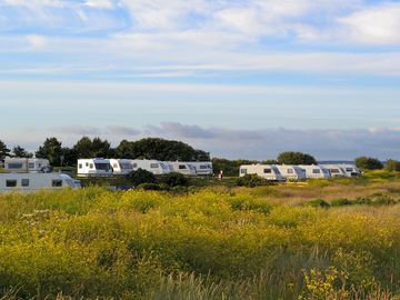 Beach-side touring pitches