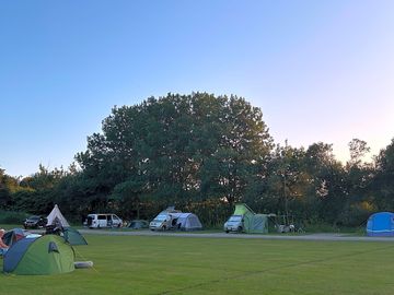 Evening at orchard springs 🌸☀️
