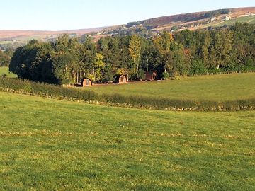 View of the site