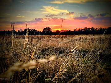 Beautiful sunsets to be seen in our rural surrounding fields