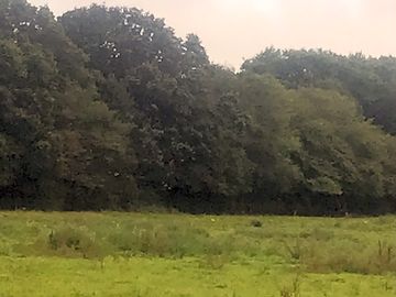 Wildlife haven