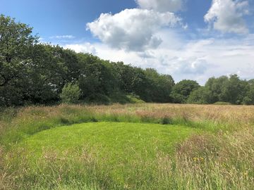 Grass pitch