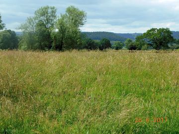 The meadow - all yours for the kids to run amock in, or play cricket