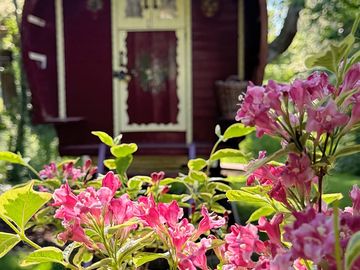 Enjoy the flowering plants near the gypsy van
