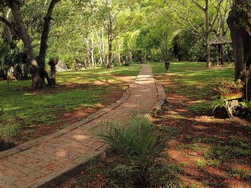 Path through the site