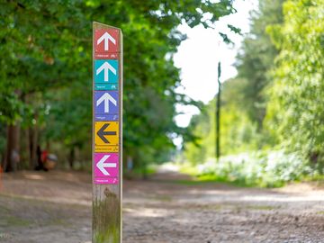 Footpaths and bike trails from the campsite