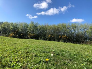 Grass pitches