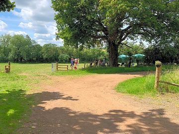 Around the site