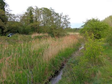 Next to the river ock