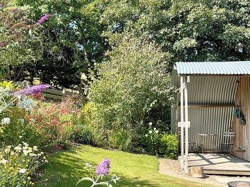 Sycamore pod gardens