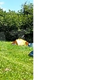 Camping field