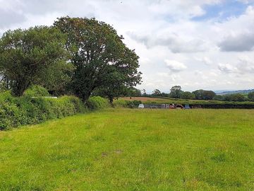 Grassy field