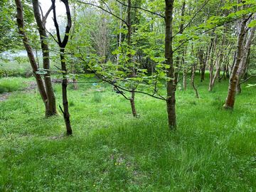 Enjoy the woodland setting