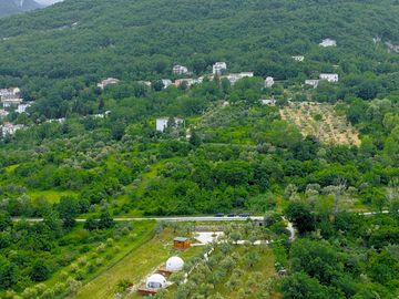 View of the site