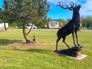 Our centrepiece stag in the middle of our courtyard