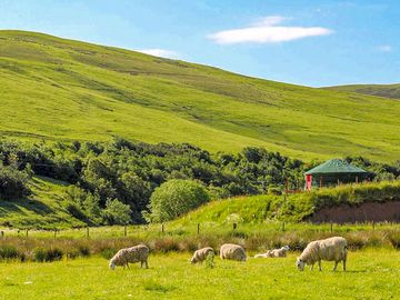 Can you spot the yurt?