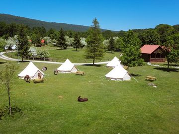 Bell tents