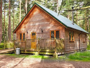 Red squirrel lodge