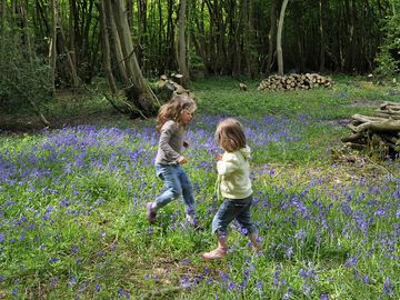 Girls in the bluebells