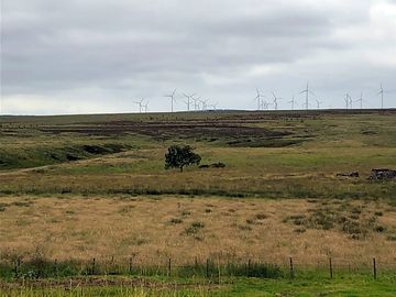 Moor, moor and moor