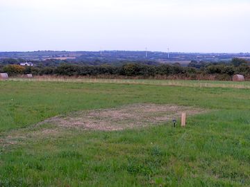 Grassy pitches