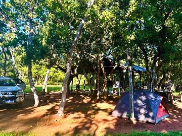 Pitches under the trees