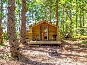 Cabin in the woods
