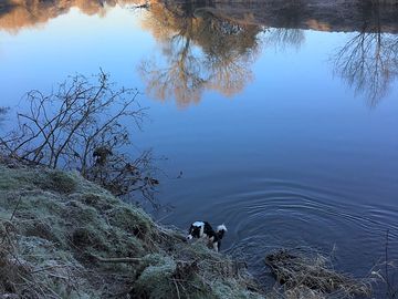 Reflections in the river