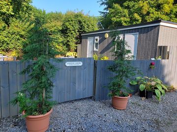 Gravel garden