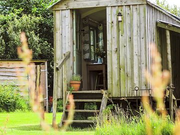 Shepherd hut