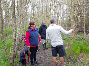 Woodland walk